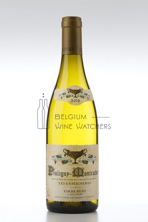 Image de 2016 PULIGNY MONTRACHET LES ENSEIGNERES